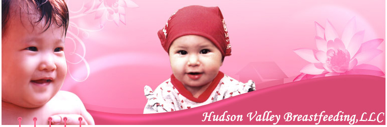 Hudson Valley Breastfeeding